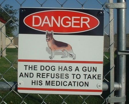 beware-of-dog-14780-1249855333-8.jpg