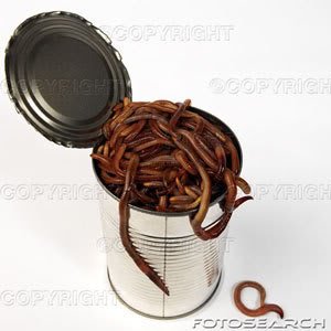 can-of-worms.jpg