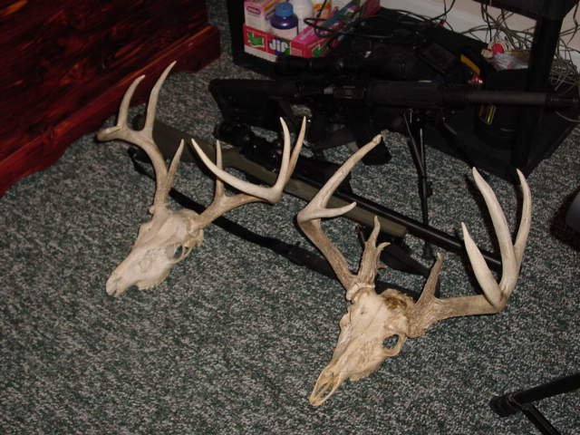 2 small 2 mount 052.JPG