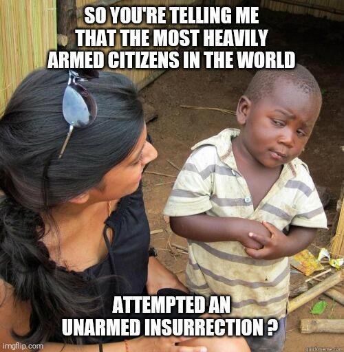 Armed Citizens-a.jpg