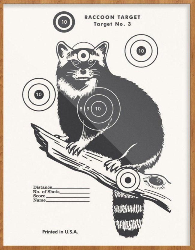 raccoon target 2022.jpg