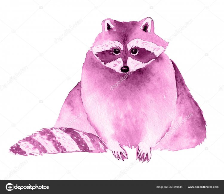 depositphotos_253449844-stock-photo-raccoon-pink-monochrome-watercolor-illustraition.jpg