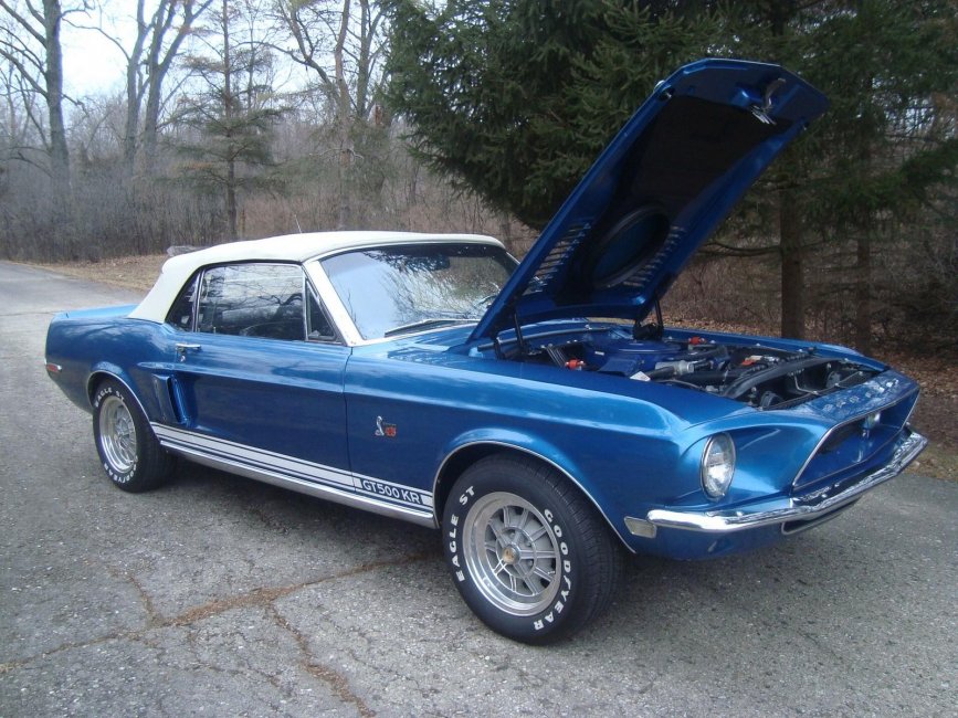 GT500.jpg