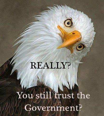 bald-eagle-doesnt-trust-the-govt.jpg