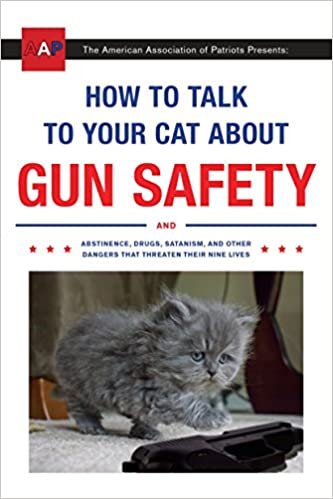 cat gun safety.jpg