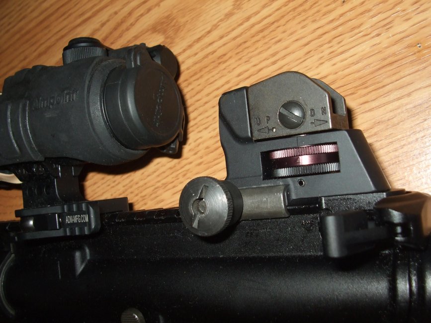 rear sight 001.jpg