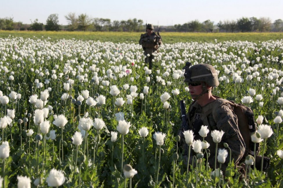 USNATO-poppies10-1024x682.jpg