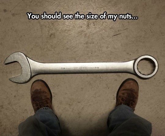 Size Nuts.jpeg