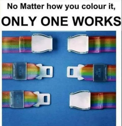 Rainbow.jpg