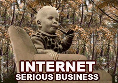 Serious-Internet-Business-Baby (1).gif