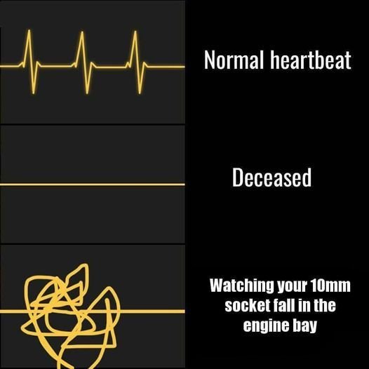 10mm Heartbeat.jpg