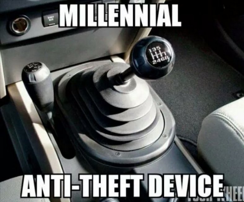 Millenial Anti-Theft.jpg