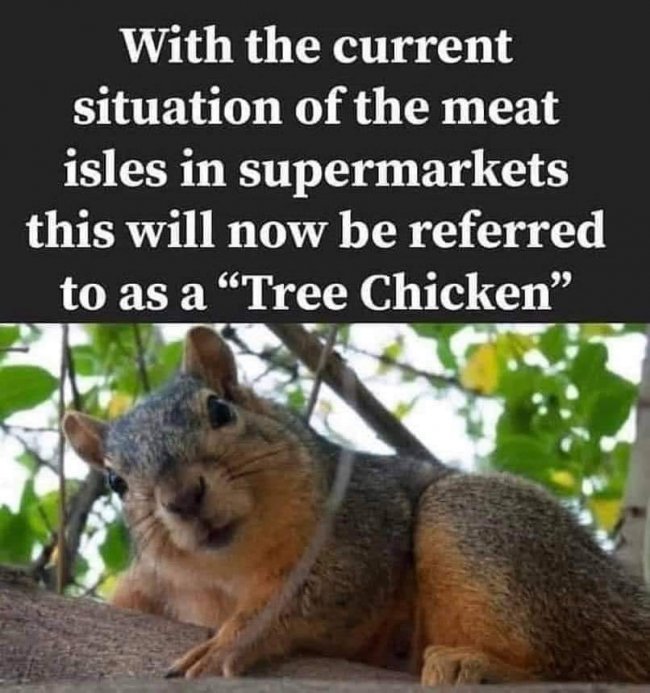 Tree Chicken.jpg