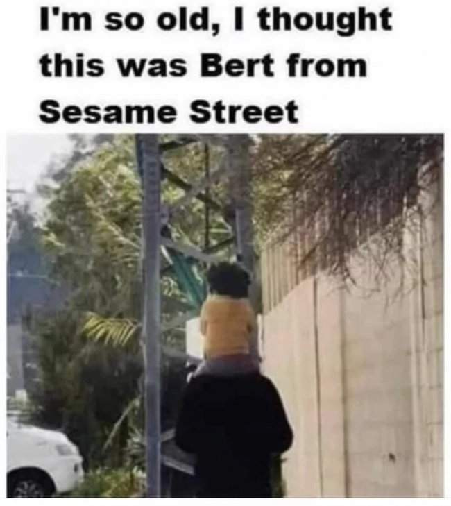 Bert Sighting.jpg