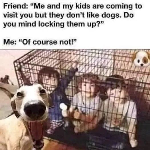 Lock Up Dogs.jpg