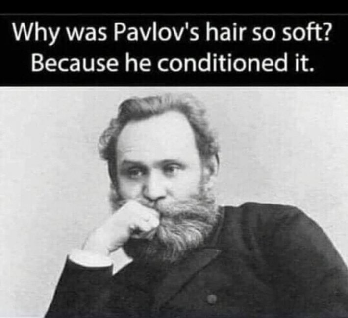 Pavlov Hair.jpg