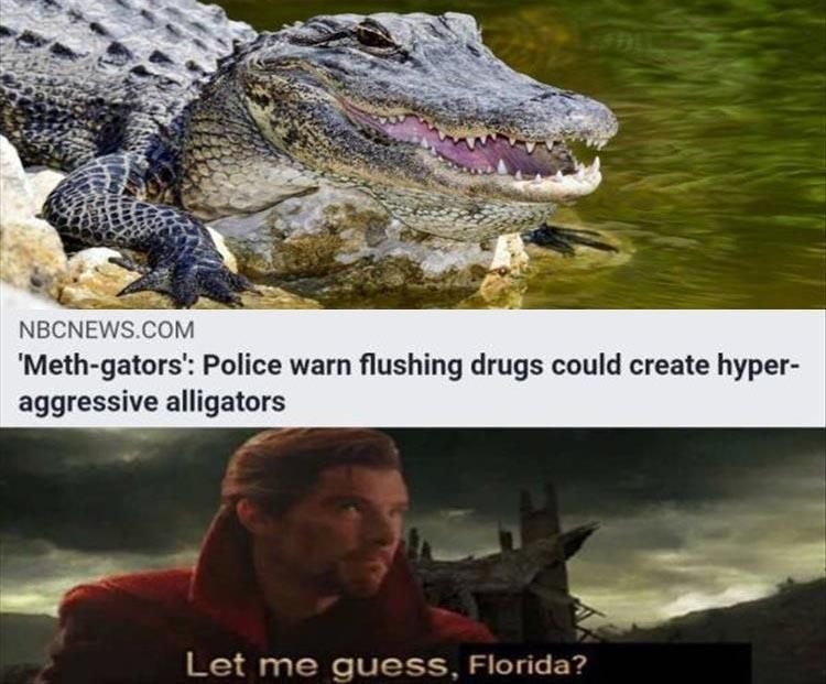 Meth-Gators.jpeg