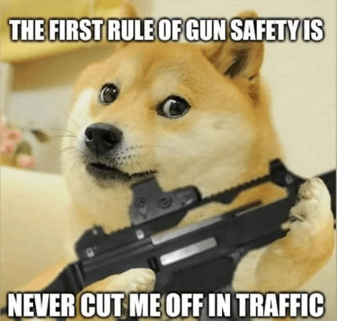 Traffic Gun Safety.png