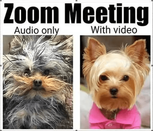 Zoom Audio Video.png