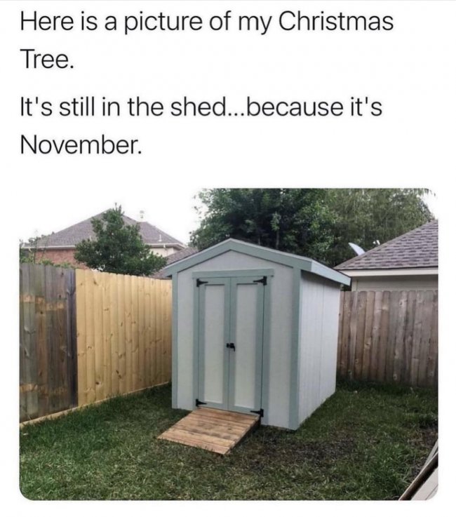 Tree In Shed.jpg