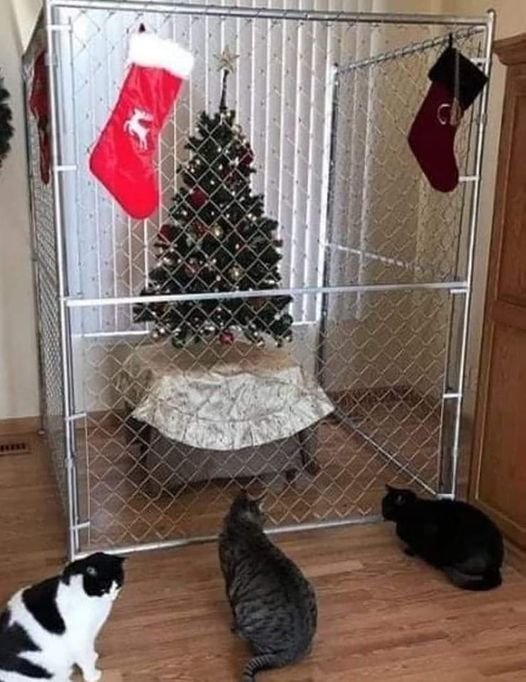 Cat ChristmasTree.jpg