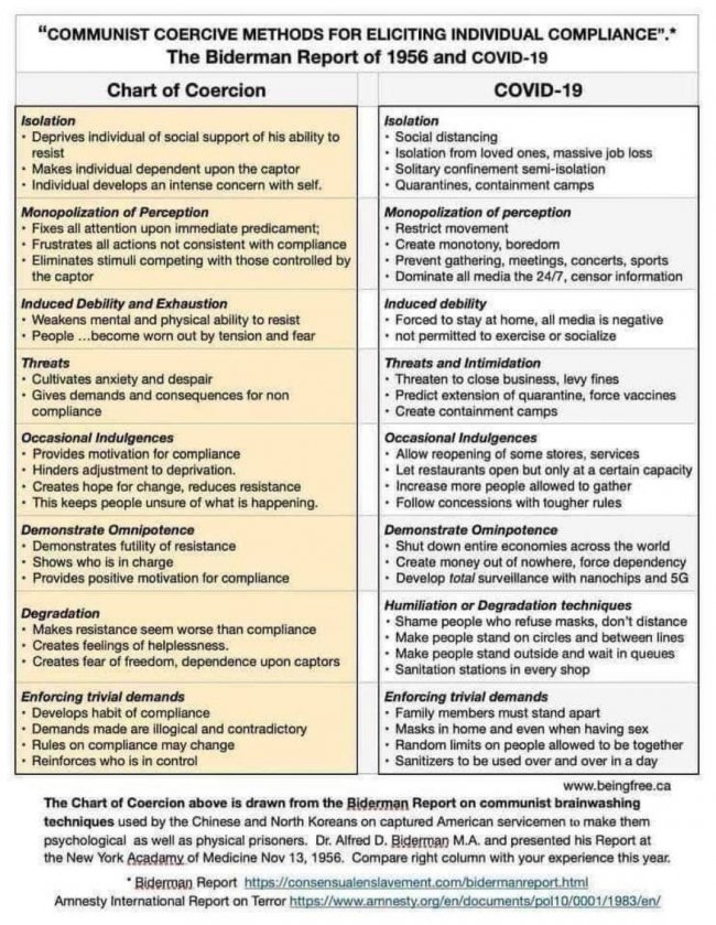 Chart of Coercive Methods - Biderman Report.jpg