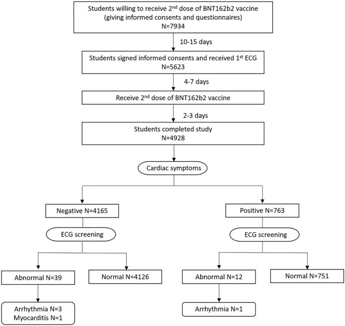 431_2022_4786_Fig1.jpg