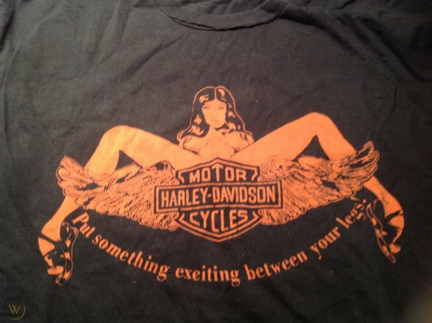 vintage-1970s-harley-davidson-put_1_02b3686fa9ac46f0b14fb2536e4d54fb.jpg