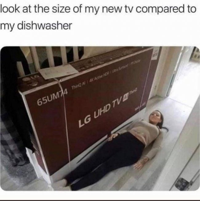 TV vs Dishwasher.jpg