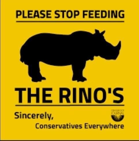 RINO-b.png