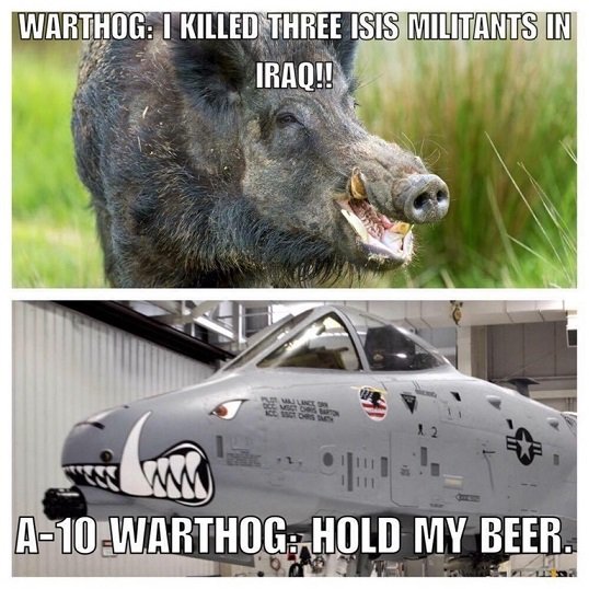 Warthog (2).jpg