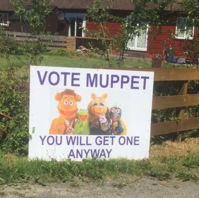 Vote Muppet.png