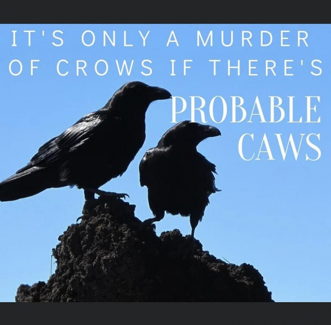 Probable Caws.png