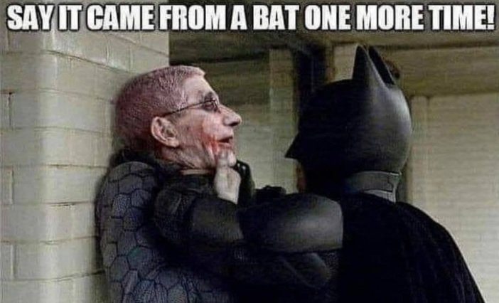 bat.jpg