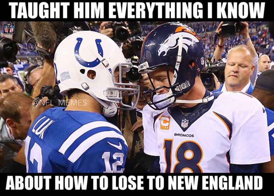 colts.jpg