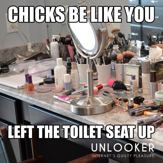 chicks_toilet_seat2.jpg