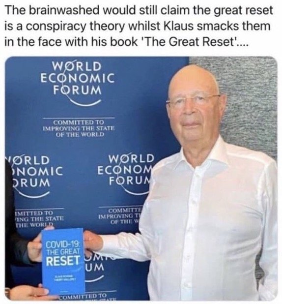 WEF Reset.JPG