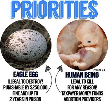 prolifeimage42.png