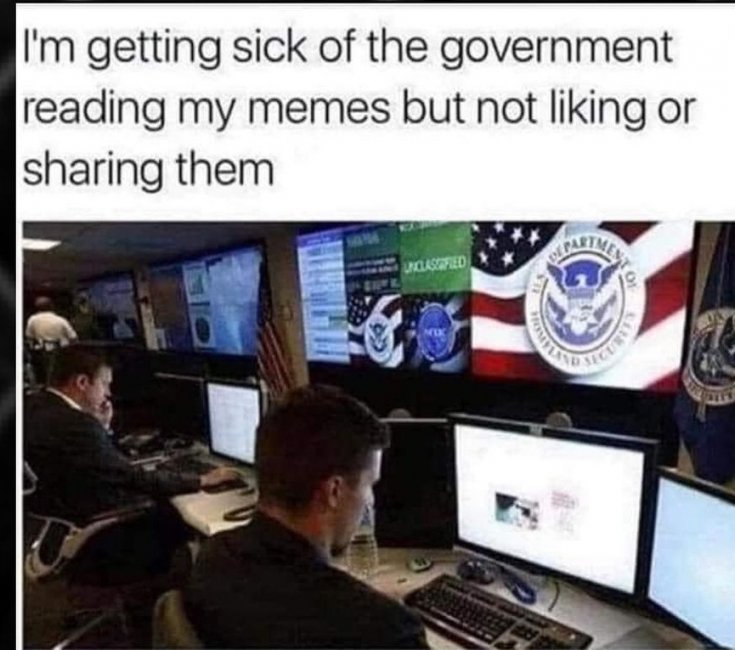 Govt Like Memes.jpg