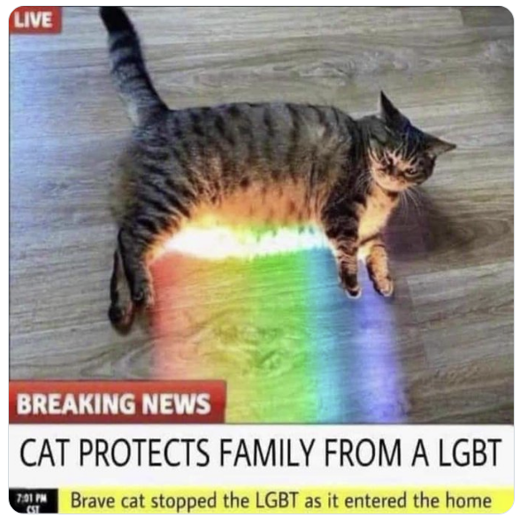 LGBCat.PNG