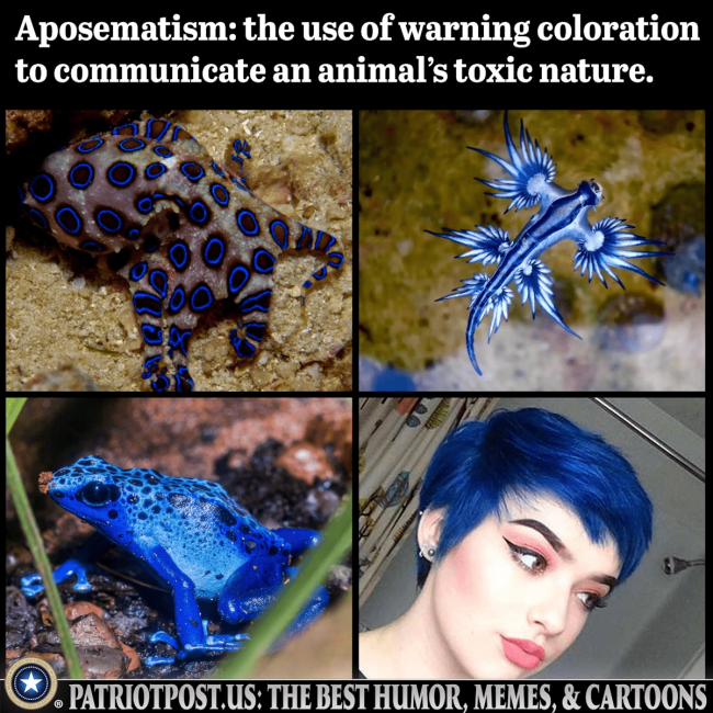 Aposematism.png