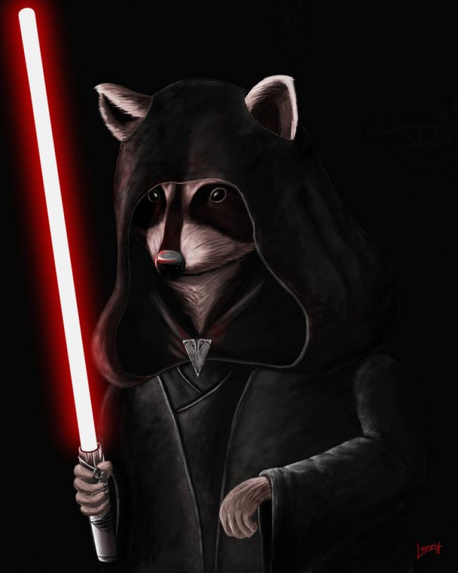 darth_raccoon_by_lannarty_d8clvyh-pre.jpg