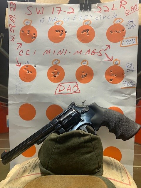 Pic at range wHogue grips & partial target 8.09.2023..jpg