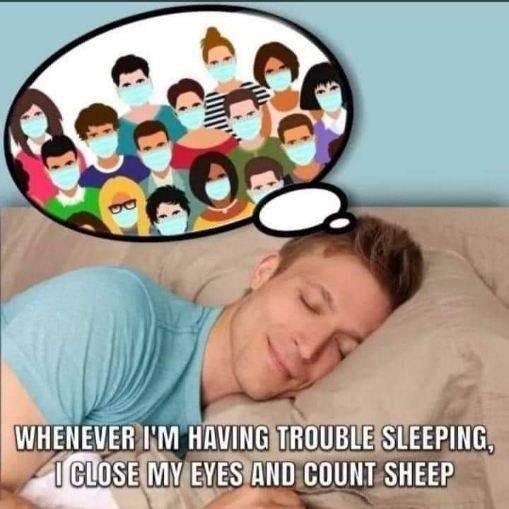 Counting Sheep.jpeg