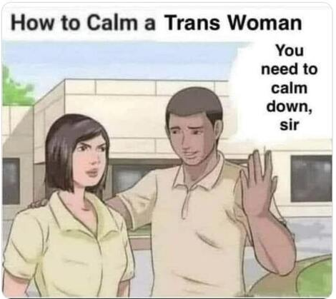 calm transvestite.png