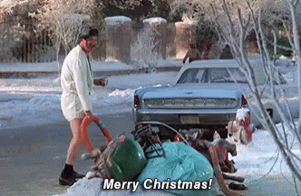 national-lampoon-c-hristmas-vacation.gif