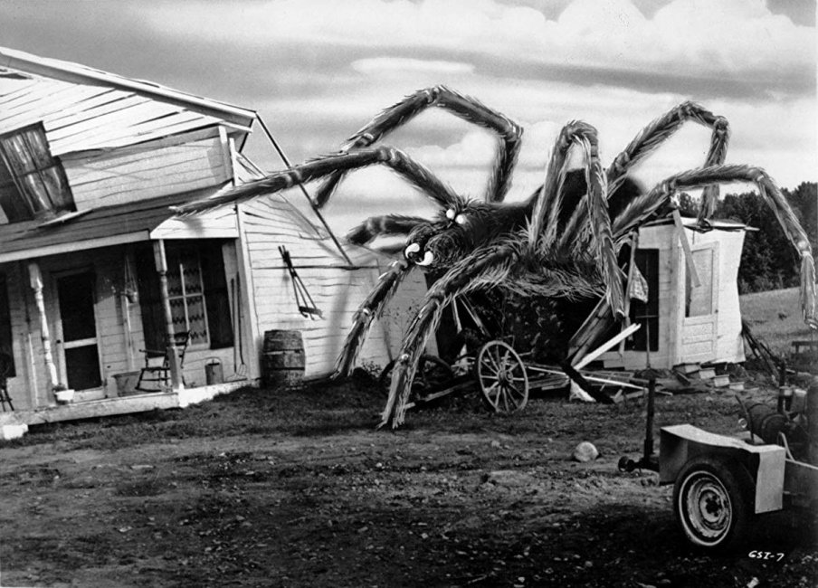 giant-spider-invasion-4.jpg