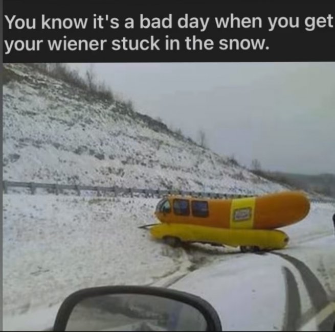 wiener.jpg