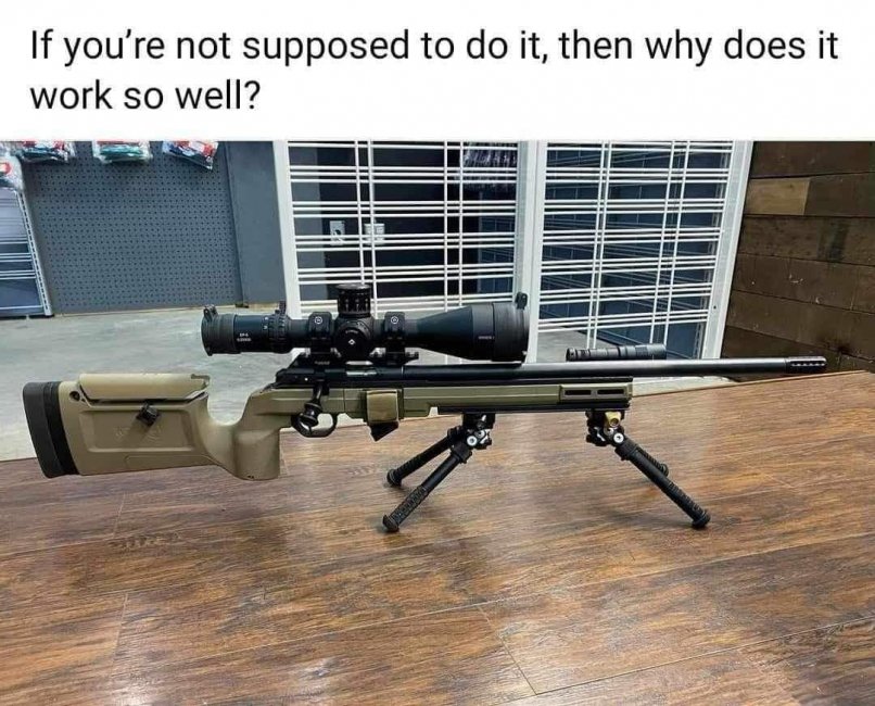 Dual Bipods.jpg