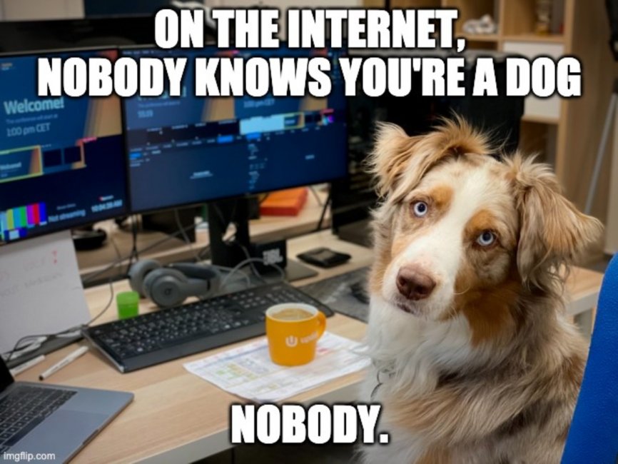 InternetDog copy.jpg